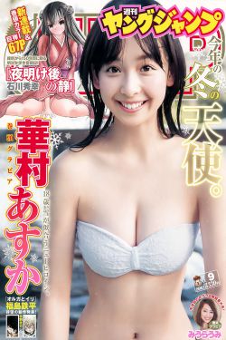 电视剧破冰行动在线观看